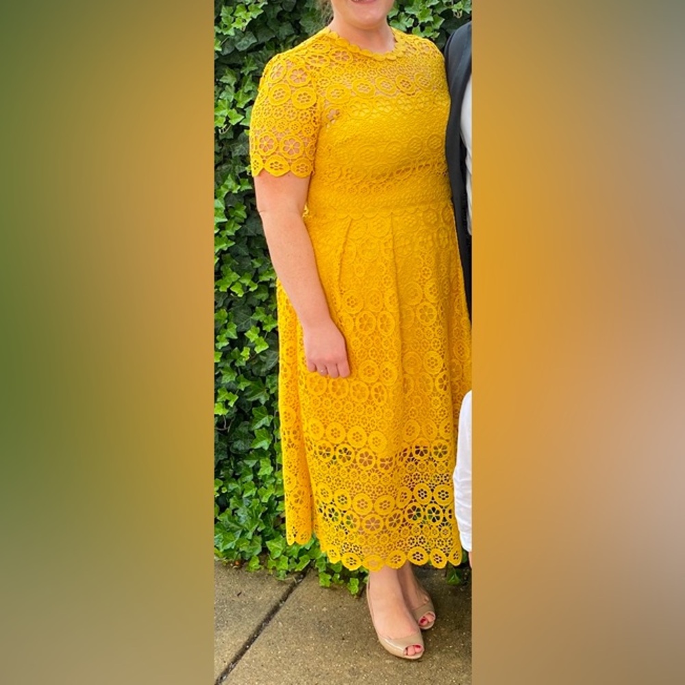 Maggy London Lace Dress